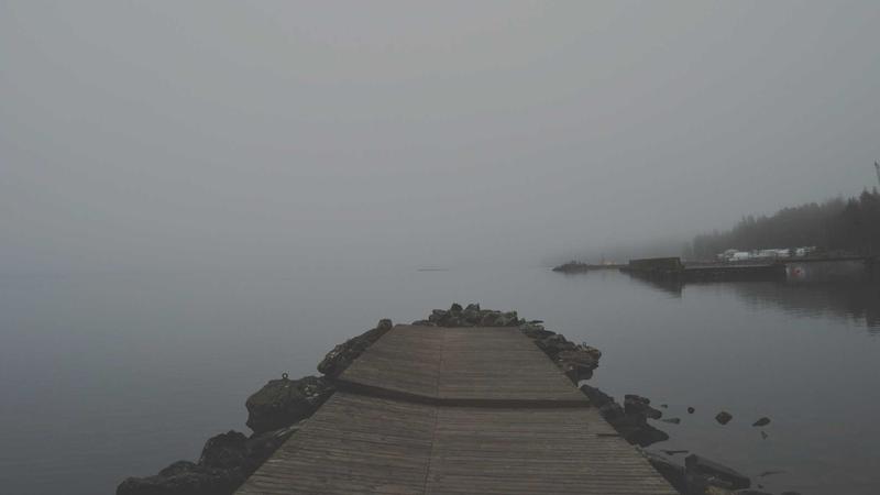 高清无插件体育直播技术架构与多赛事同屏展示示意图